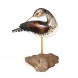 Howard Hall Upland Sand piper yellow legs,