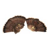 Lot, 2 turkey feather fans
