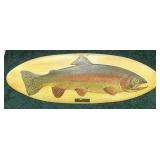 Rainbow trout display, 27" L