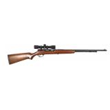 Stevens/Savage Model 87D -.22 S,L,LR Semi-Auto,