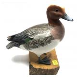 European Wigeon carved standing wooden duck