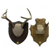 Lot, 2 pairs of antlers on wooden plaques