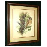 Long Eared Owl by Don Whitlatch signed and