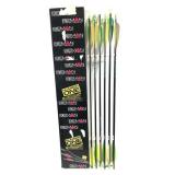 Beman Hunter 50/70 carbon arrows, 12 pcs.