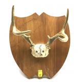 Pair of antlers on wooden plaque