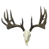 Klaus Replica of James Rath