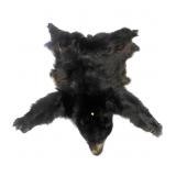 Black bear pelt