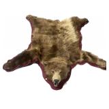 Bear rug, nose to tail: 61" L, approx. 58" W