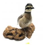 Quail carved decoy on driftwood