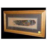 Framed and matted painted feather, 493/780,