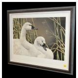 Sherrie Russell Meline signed and numbered swan