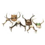 Lot, 6 assorted racks