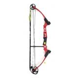Mini Genesis youth compound bow with 3 carbon