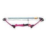 Matthews Genesis compound bow with 3 arrows