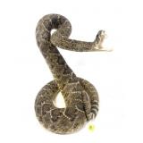Rattlesnake full mount, approx. 12" H x 12" W