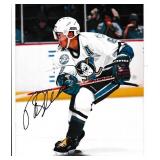 Teemu Selanne autograph on 8x10 photo