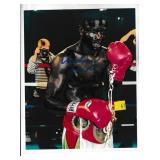 Andrew Lewis autograph on 8x10 photo