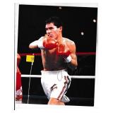 Julio Chavez autograph on 8x10 photo