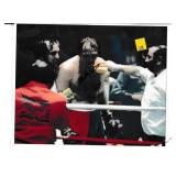 Chuck Wepner autograph on 8x10 photo