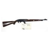 Remington Mohawk 10C .22 LR Semi-Auto Rifle,
