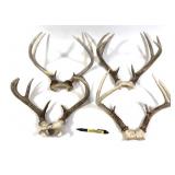Lot, 4 assorted whitetail antlers