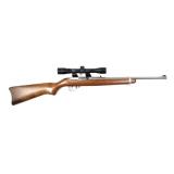 Ruger Model 10/22 Stainless Carbine .22 LR