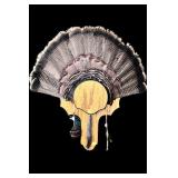 Trophy tom turkey fan with 7 1/2" beard on