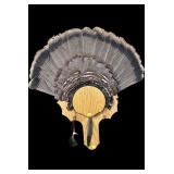 Trophy tom turkey fan with 8" beard on wooden