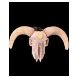 Ram European skull mount