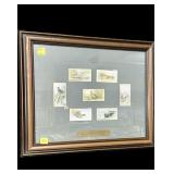 Game Birds and Wildfowl 1927 frame, frame size: