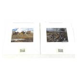 Lot: 2- New York Migratory Bird Conservation