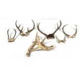 Lot, 6 assorted whitetail antlers and plastic