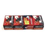 160 Rounds of .22 LR HP American Eagle
