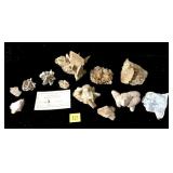 Collection of Pyrite and Geodes