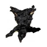 Black Bear Hyde,