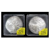 x2- 2010 American Silver Eagles, Unc. -x2 eagles -