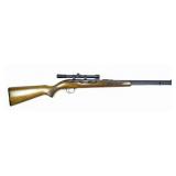 Savage/Stevens Model 887- .22 LR. Semi-Auto,
