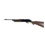 Crosman Model 760-D Pumpmaster .177 Cal BB Gun