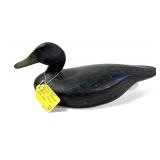 Percy Bovey Black Duck wooden carved decoy,