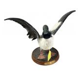 Full Body Bufflehead Decoy "Winter Clown" ca. 1950