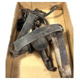 Early Wolf No. 4 Trap