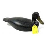 Percy Bovey Black Duck wooden carved decoy,