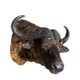 Trophy African Cape Buffalo Mount