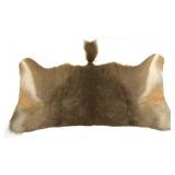 Reedbuck Hyde, 43" W., 28" top to tail