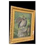 Framed Pheasant Print, frame size 26" x 22"