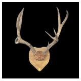 10-Point Rack on plaque