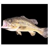 Large Mouth Bass Mount 17" L.