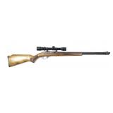 Marlin/Glenfield Model 60- .22 LR. Semi-Auto, 22"