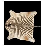 Zebra Hyde top to tail 97", approx. 80" wide