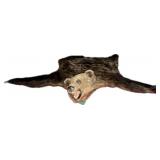 Trophy Brown Bear/Grizzly Rug, nose to tail 67",